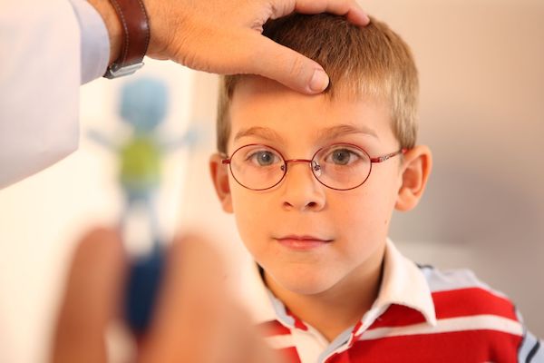Контрольная работа по теме Особенности применения различных наглядных средств по развитию зрительного восприятия дошкольников с нарушениями зрения