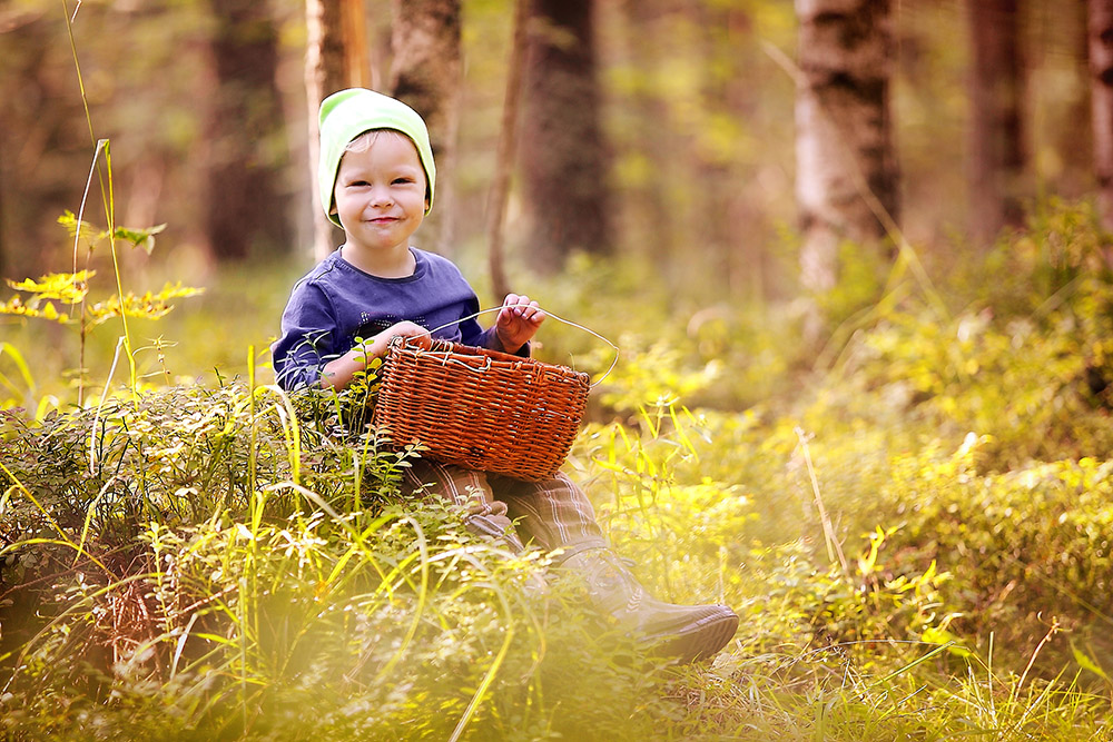 Девочка в лесу собирала грибы. Дети с корзинками в лесу. Девочка корзинка лес. Девочка с корзинкой. Дети собирают ягоды.