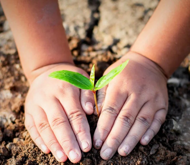 Конспект НОД по образовательной области «Познавательное развитие» для детей старшего дошкольного возраста с ЗПР. Тема: «Почва, дающая жизнь»