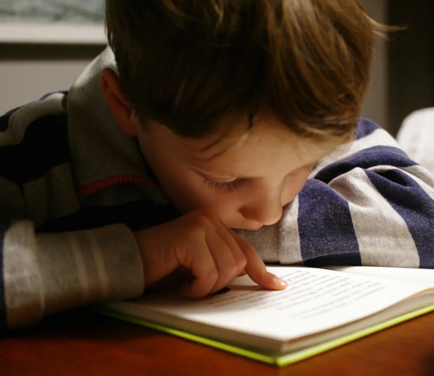 Диагностика и коррекция нарушения осмысленного чтения у младших школьников